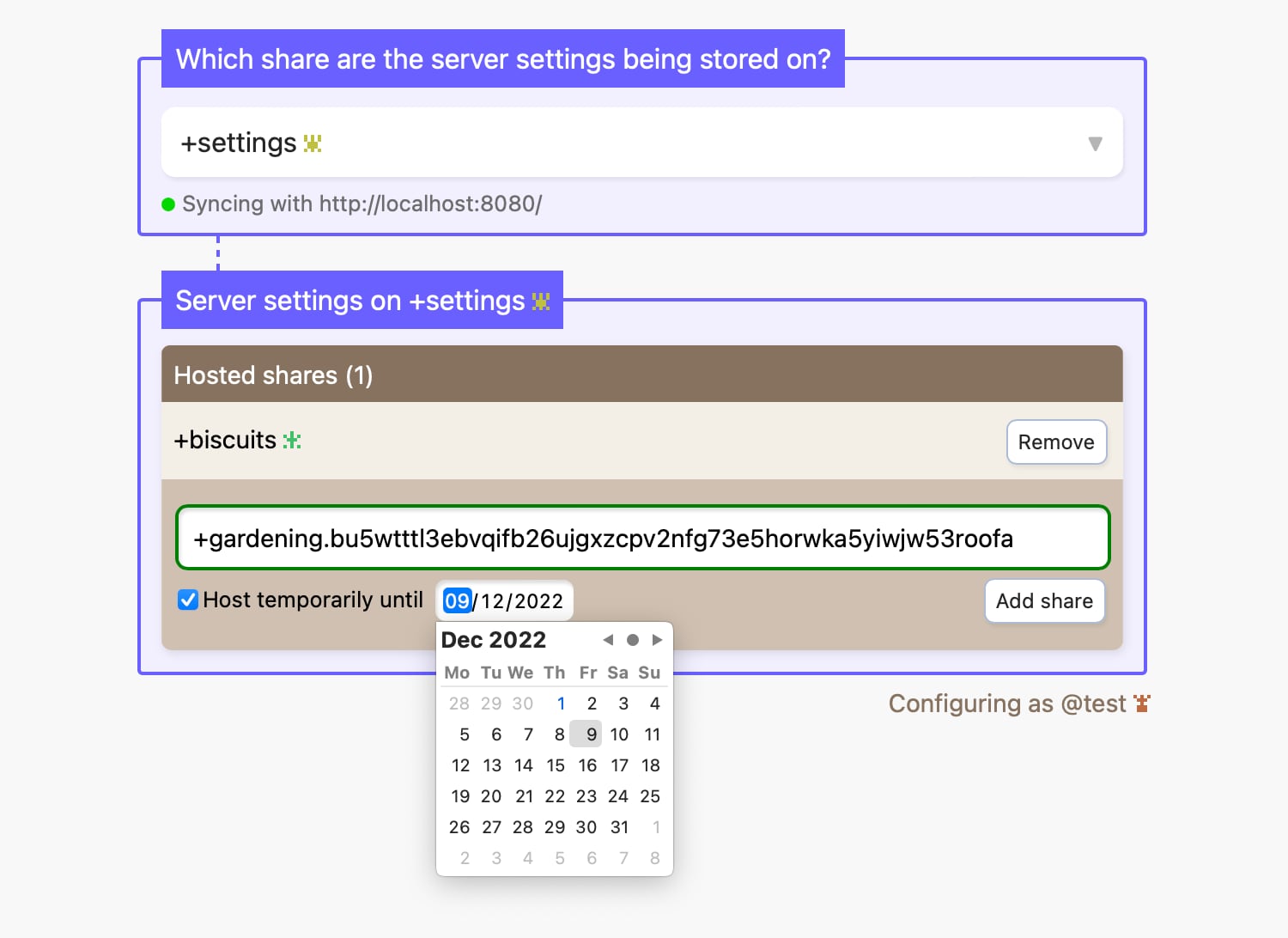 A screenshot of the server settings UI.